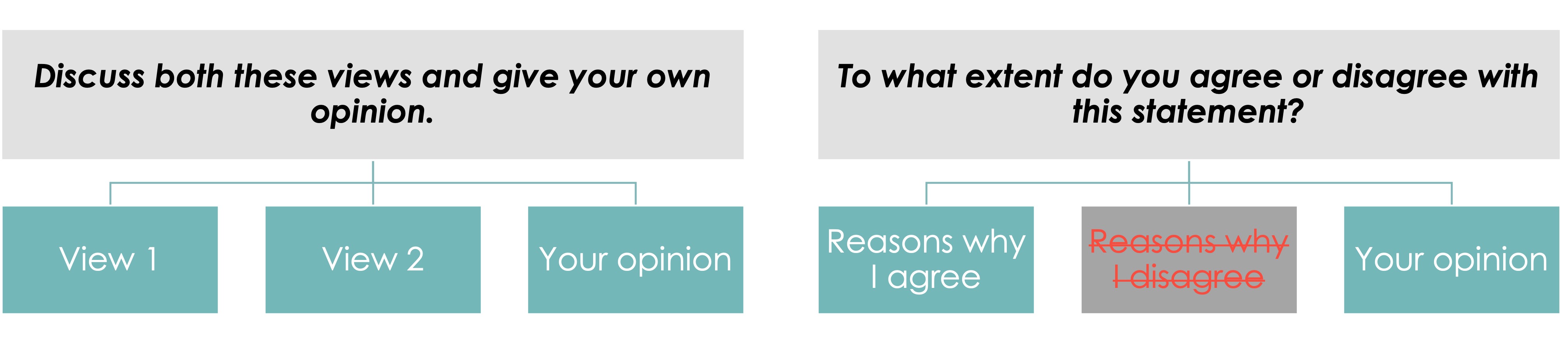 Two views vs Your opinion